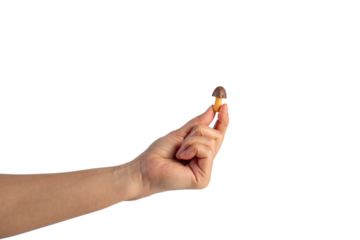 Small chocolate chip cookies in hand on transparent background
