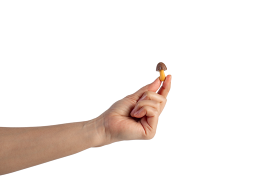 Small chocolate chip cookies in hand on transparent background - Powered by Adobe