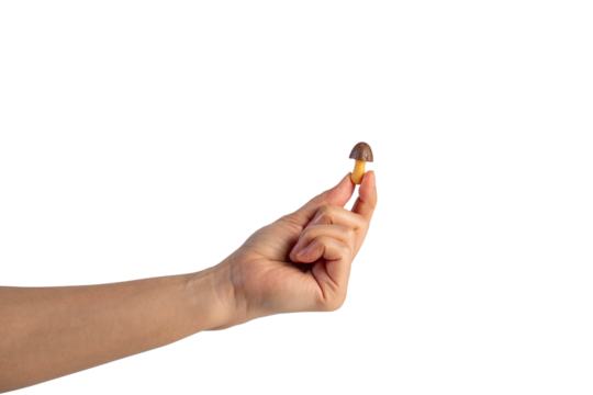 Small chocolate chip cookies in hand on transparent background