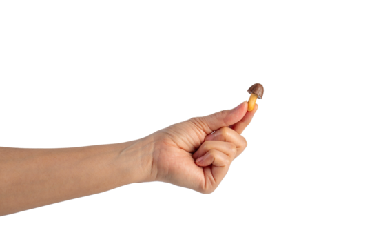 Small chocolate chip cookies in hand on transparent background - Powered by Adobe