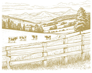 Fototapeta premium Spacious pastures on hills. There are mountains and forests on the horizon. Cows graze in field, grass and bushes in foreground. Vector illustration. Sketch is linear drawing on a white background80