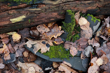 A Lost Black Boot Lying Among Leaves And Decaying Wood, Reclaimed By Nature With Moss Growth. A Concept Of Ecology, Trash, And Time Passage.