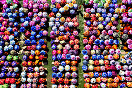 Aerial view of Global Peace Prayer Festival where monks from all over the world came to pray for peace, Thimphu, Thimphu, Bhutan.