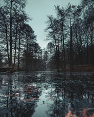 reflections in frozen water