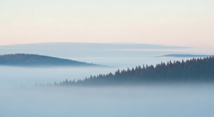 Fototapeta premium Misty forest landscape with rolling hills and evergreen trees at dawn.