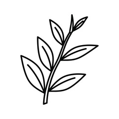 Simple line art illustration of a plant branch with several leaves, depicting nature
