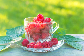 Red raspberries in a transparent tea cup on a table against green natural background