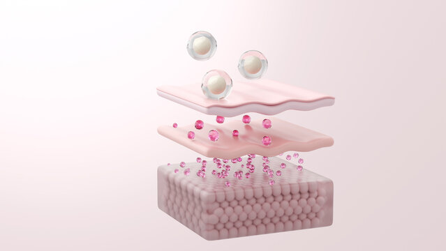 Encapsulated Collagen Peptide and Exosome Releasing PDRN Molecules into Skin Layers, 3D Illustration