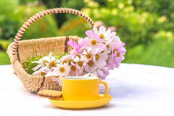 Summer tea time in a summer garden; Yellow cup of tea, bouquet of cosmos flowers in a wicker basket on a table with white tablecloth in a blooming garden