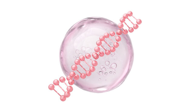 Pink DNA Helix and Bubble for PDRN Salmon DNA and Collagen Peptide