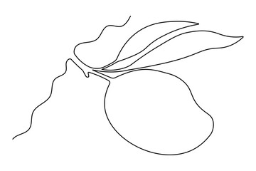 Minimalist mango design using a continuous single line drawing