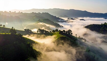 A breathtaking aerial view of lush green hills and valleys filled with thick, white fog during sunrise.