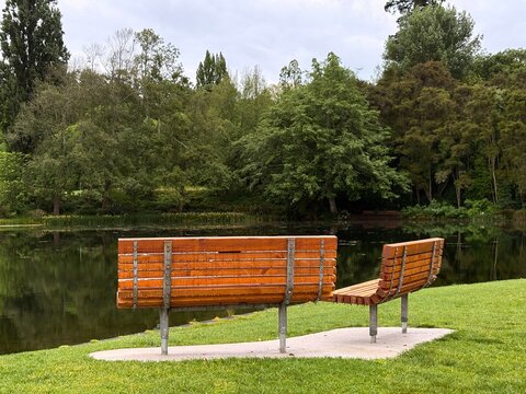 wooden bench in the park