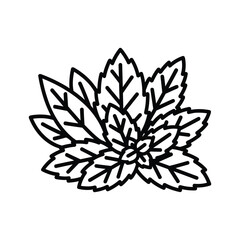 Line art illustration of fresh mint leaves, a common herb used for cooking and drinks
