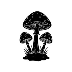 Silhouette of a three toadstools or fly agaric mushrooms in grass.