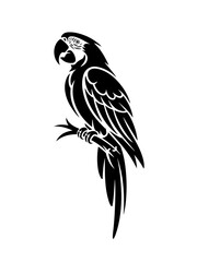 Silhouette of a macaw parrot bird sitting on a branch.