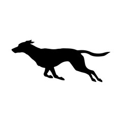 Silhouette of a greyhound or whippet dog running at top speed.