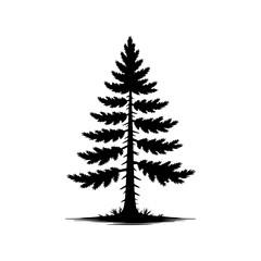 Silhouette of a tall pine tree or conifer christmas tree.