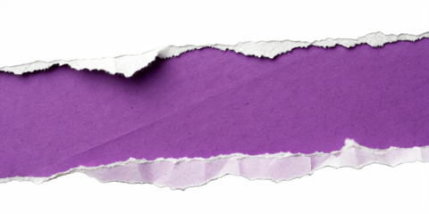purple torn paper background