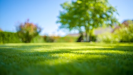 Beautiful blurred background image of lush green lawn under a bright blue sky creating a peaceful and serene outdoor atmosphere © Yassine