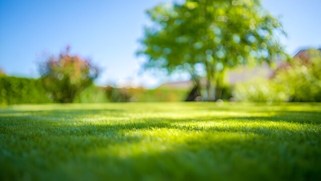 Beautiful blurred background image of lush green lawn under a bright blue sky creating a peaceful and serene outdoor atmosphere