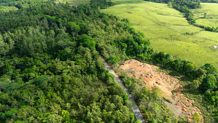 Drone capture of an asphalt road connecting the regencies in Sumba; this road is inside a dense forest with large trees