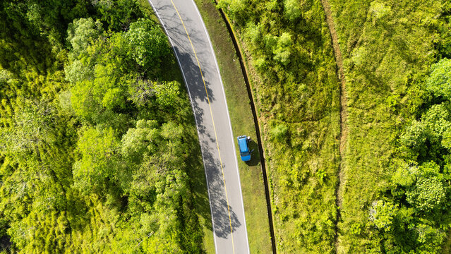 Drone capture of an asphalt road connecting the regencies in Sumba; this road is inside a dense forest with large trees