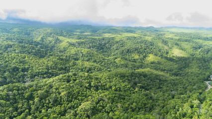 A winding road through the dense forest of Sumba, the main road connecting the regencies on Sumba Island