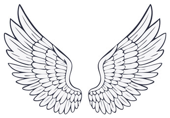 Obraz premium Stylized White Angel Wings Outline Drawing with Feather Details