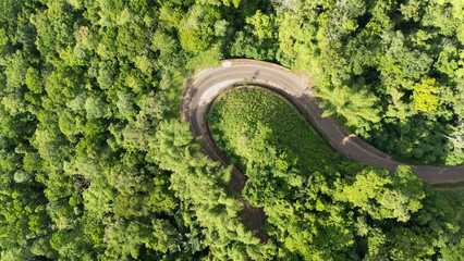 A winding road through the dense forest of Sumba, the main road connecting the regencies on Sumba Island