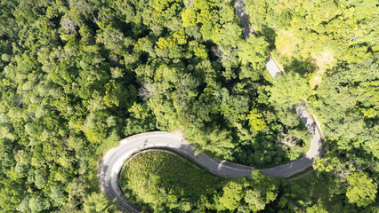 A winding road through the dense forest of Sumba, the main road connecting the regencies on Sumba Island
