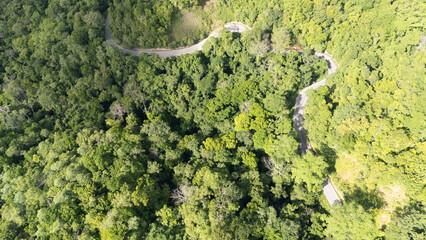 A winding road through the dense forest of Sumba, the main road connecting the regencies on Sumba...