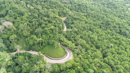 A winding road through the dense forest of Sumba, the main road connecting the regencies on Sumba Island