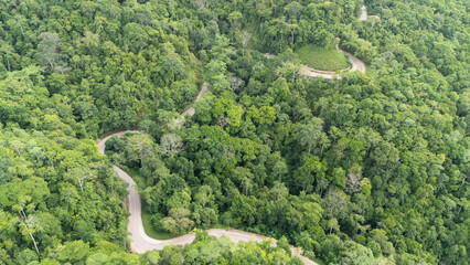 A winding road through the dense forest of Sumba, the main road connecting the regencies on Sumba Island
