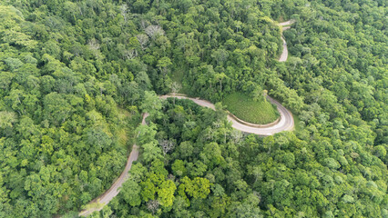 A winding road through the dense forest of Sumba, the main road connecting the regencies on Sumba Island