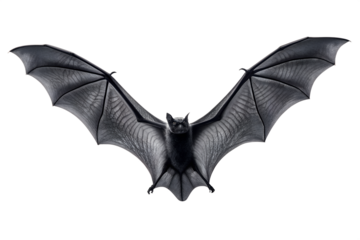 Captivating black bat with wide-spread wings, captured mid-flight, showcasing its detailed texture and form, isolated against a pure white background for clear visibility and versatile design use