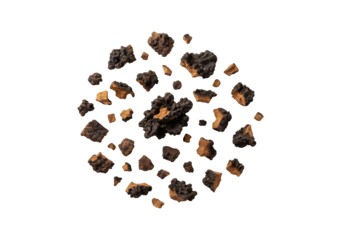 Natural Chaga mushroom chunks on a white backdrop. Inonotus Obliquus. Bird's eye view
