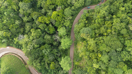 A winding road through the dense forest of Sumba, the main road connecting the regencies on Sumba Island