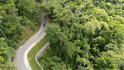 Drone capture of an asphalt road connecting the regencies in Sumba; this road is inside a dense forest with large trees