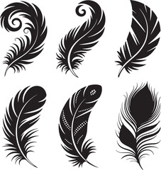 Obraz premium Six black and white stylized feather graphics with decorative elements quill vector