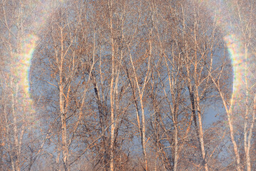 Autumn sunny landscape, view in the rays of a sunny autumn day in the park