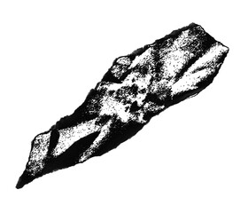 torn paper, black and white pencil drawing