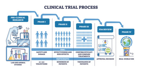 Clinical trial process outline shows phased pathway from pre clinical research to FDA review and Phase IV, key objects, microscope, participant icons, approval scroll. Outline diagram