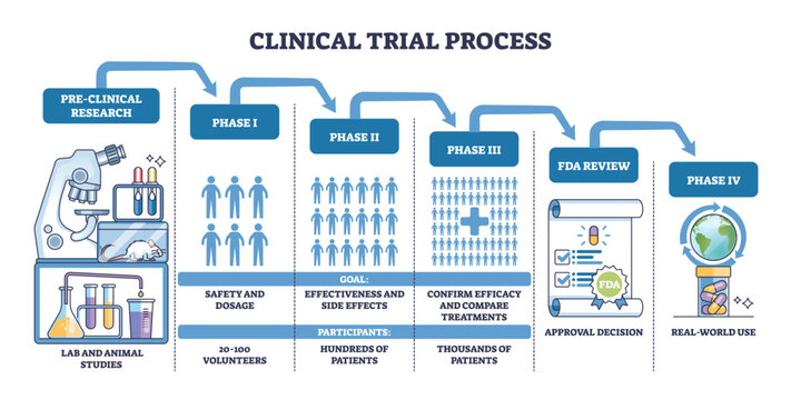 Clinical trial process outline shows phased pathway from pre clinical research to FDA review and Phase IV, key objects, microscope, participant icons, approval scroll. Outline diagram