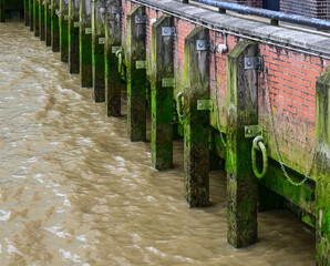 Supporting Timber Piles, River Thames, London, England, UK