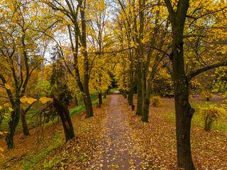 Naklejka premium Beautiful Palace Garden ( serbian: Dvorska basta) in Sremski Karlovci, Serbia