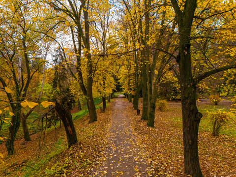 Beautiful Palace Garden ( serbian: Dvorska basta) in Sremski Karlovci, Serbia