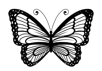 Butterfly l