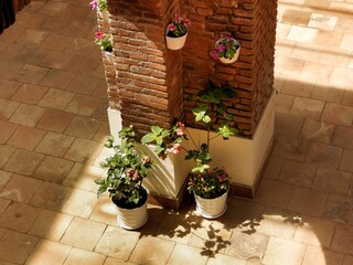 Home interior decoration with flowering plants in pots mounted on a vintage brick pillar. Cozy, bright space with natural light and shadow play.