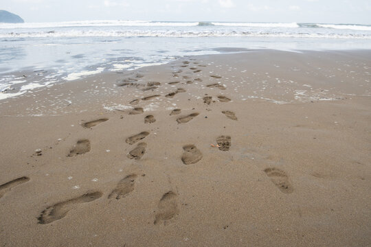 Many human footprints on wet beach sand leading to the sea. Walking barefoot towards the ocean waves. Travel, vacation, and family journey concept.